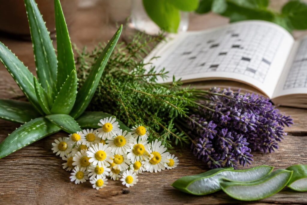 découvrez comment les plantes médicinales sont utilisées dans les mots fléchés pour comprendre les indices liés à la santé et enrichir votre vocabulaire tout en vous amusant.